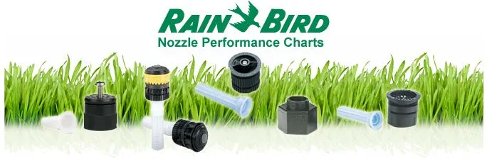 Rain Bird