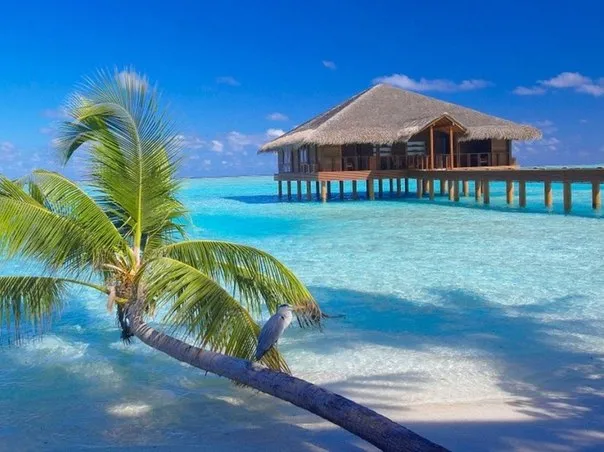 Туристичне агентство "Paradise Travel"