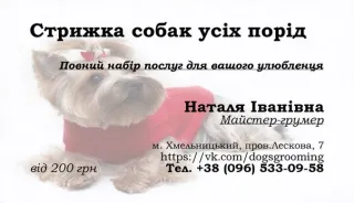 Стрижки собак