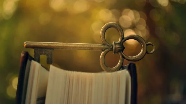 Чому важливо читати книги щодня — фото 1