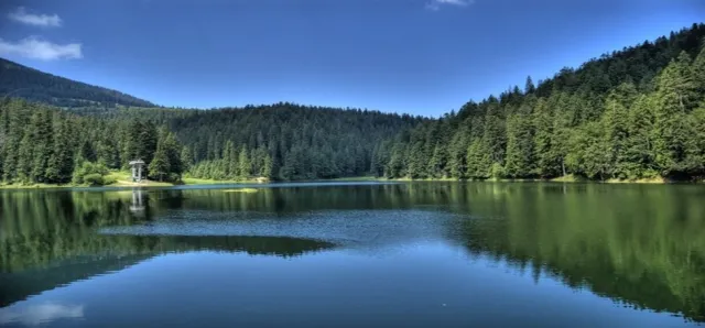 Транспортно-туристична агенція РАЙЗЕНТУР — фото 3
