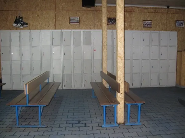 Ковзанка "Льодовий період" — фото 8