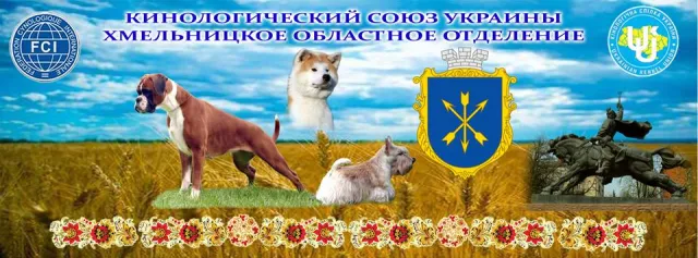 Хмельницький обласний осередок ВГО "КСУ" — фото 2