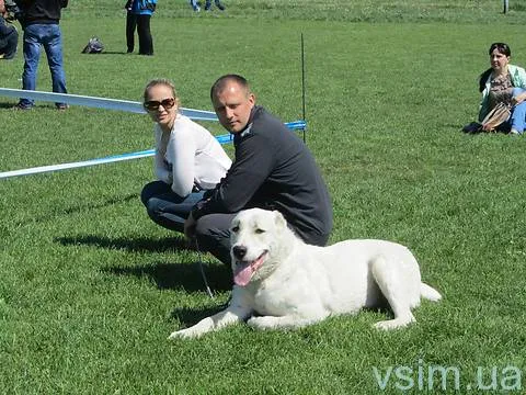До Хмельницького з’їхались собаководи з кількох областей України (Фоторепортаж) + (Відео) — фото 4