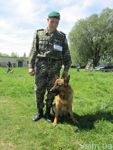 До Хмельницького з’їхались собаководи з кількох областей України (Фоторепортаж) + (Відео) — фото 7