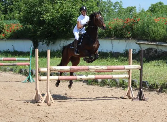 У Хмельницькому пройшов чемпіонат області з кінного спорту — фото 3