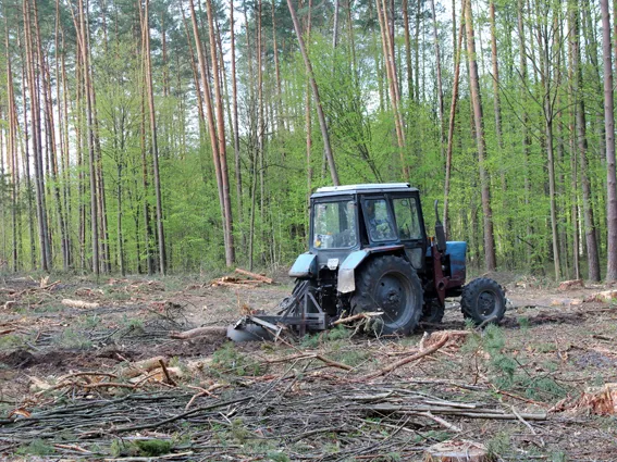 Рятувальники ліквідували умовну пожежу лісового масиву (фото) — фото 1