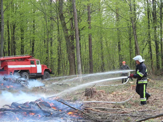 Рятувальники ліквідували умовну пожежу лісового масиву (фото) — фото 2