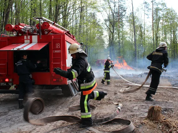 Рятувальники ліквідували умовну пожежу лісового масиву (фото) — фото 3