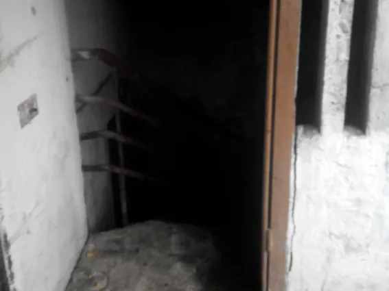 У Хмельницькому вогнеборці врятували двох безхатченків — фото 1