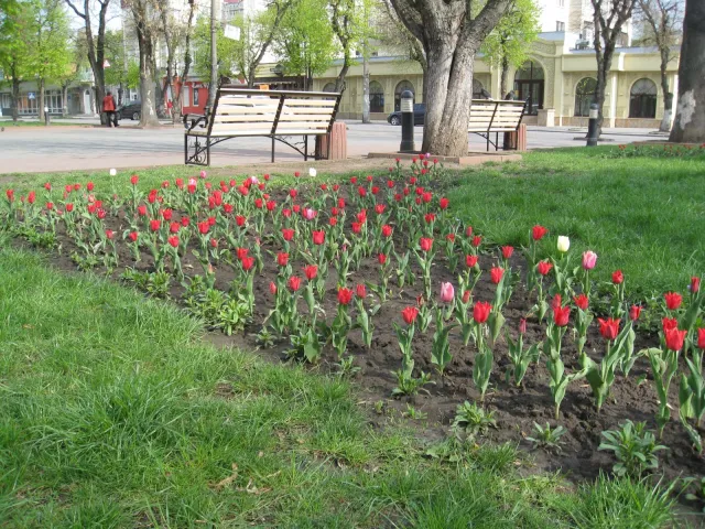 У Хмельницькому «Вічний вогонь» обіцяють відновити до Дня Перемоги — фото 3