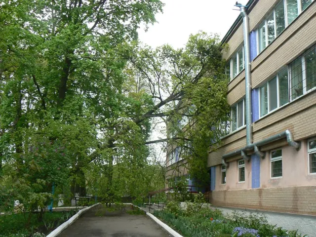 У Хмельницькому районі на території протитуберкульозного диспансеру впало дерево — фото 1