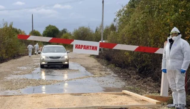 В Дунаєвецькому районі зафіксували африканську чуму свиней. Небезпечний вірус знищено — фото 4