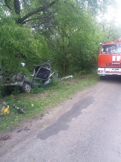 В Новоушицькому районі автомобіль «Renault» в'їхав у дерево. Троє людей загинуло — фото 2