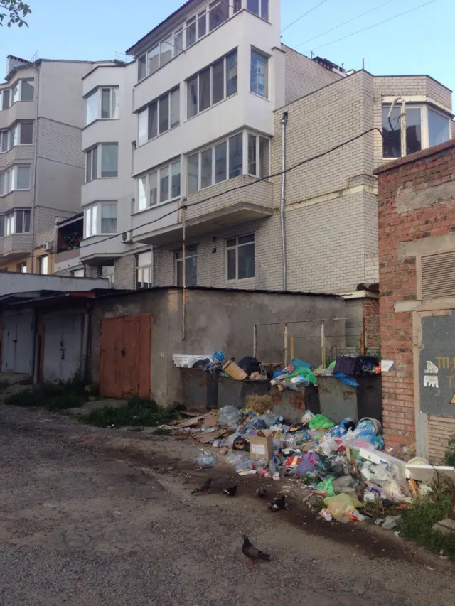 Переповнені баки, та сміття яке «воняє за кілометр» - у Хмельницькому скаржаться на розкидане під будинком сміття — фото 1