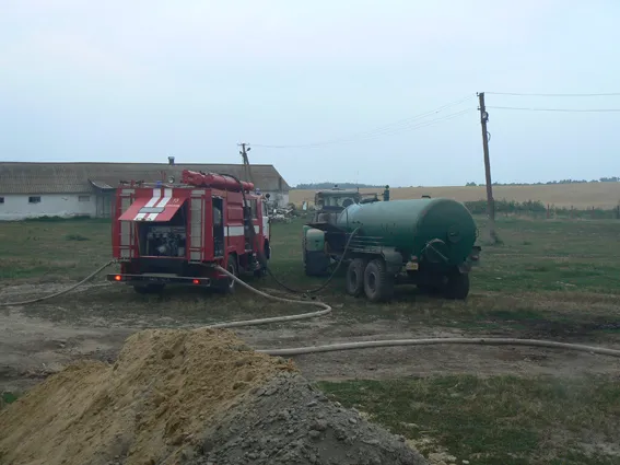 В Ізяславському районі під час пожежі врятовано 154 свині — фото 3