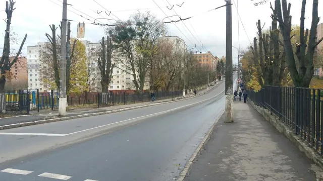 На омолодження дерев у Хмельницькому виділено 1 млн. гривень з міського бюджету — фото 1