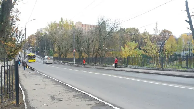 На омолодження дерев у Хмельницькому виділено 1 млн. гривень з міського бюджету — фото 2
