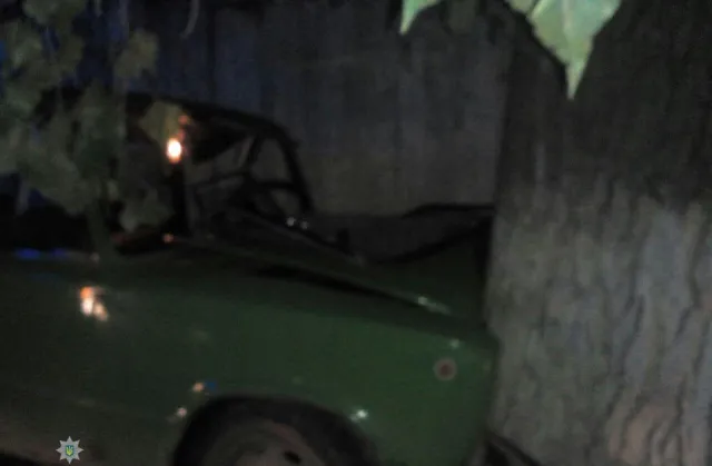 На Ватутіна п'яний водій автомобіля «ВАЗ» врізався у дерево — фото 1