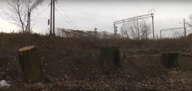В парку ім. Франка з’явиться сучасний громадський туалет — фото 1