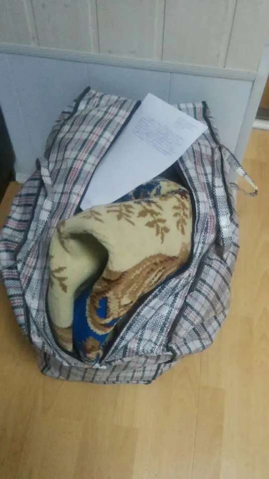 Патрульні шукають власників рюкзака, паспортів, собаки, візочка і печатки. Телефон, ключі від автомобіля та сумки повернули власникам — фото 5