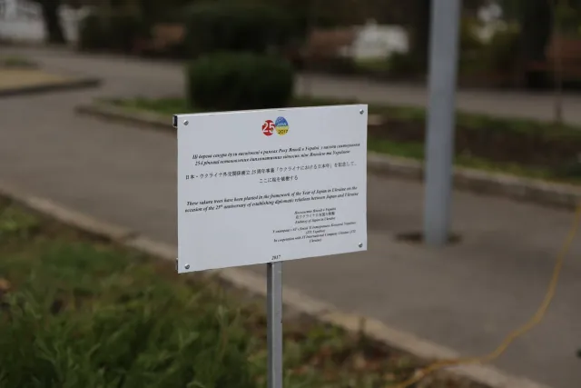 Рік Японії в Україні: в парку ім. Чекмана весною зацвітуть сакури — фото 1