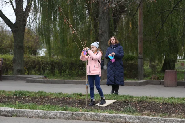 Рік Японії в Україні: в парку ім. Чекмана весною зацвітуть сакури — фото 5