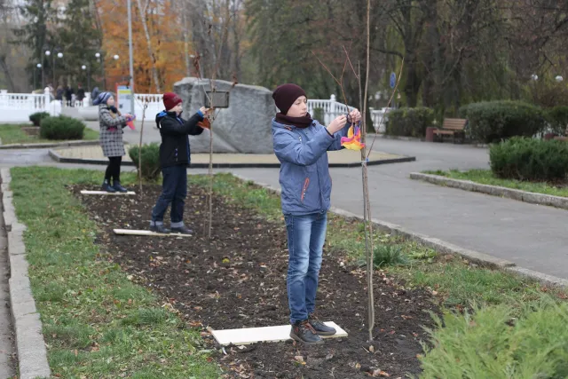 Рік Японії в Україні: в парку ім. Чекмана весною зацвітуть сакури — фото 6