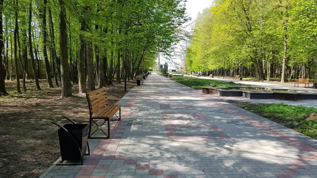 Нові лавочки, клумби та освітлення: як виглядає дендропарк після реконструкції — фото 1