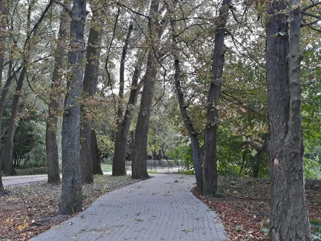 У парку ім. Чекмана з'явилася нова велосипедна доріжка — фото 4