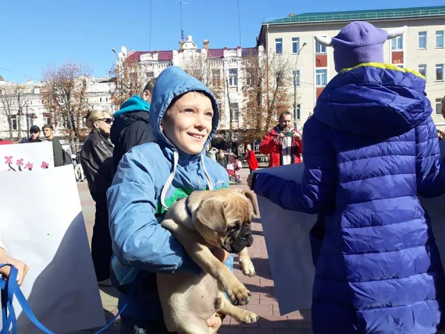 У Хмельницькому вперше відбувся Марш за права тварин — фото 4