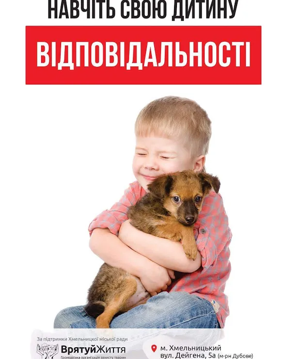 У Хмельницькому з'явилася нова соціальна реклама на захист тварин — фото 1