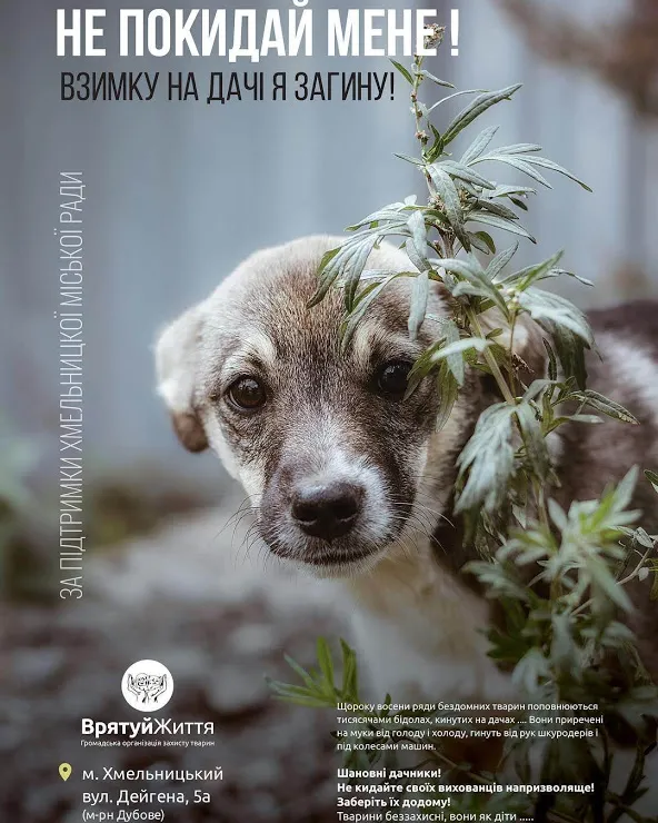У Хмельницькому з'явилася нова соціальна реклама на захист тварин — фото 2