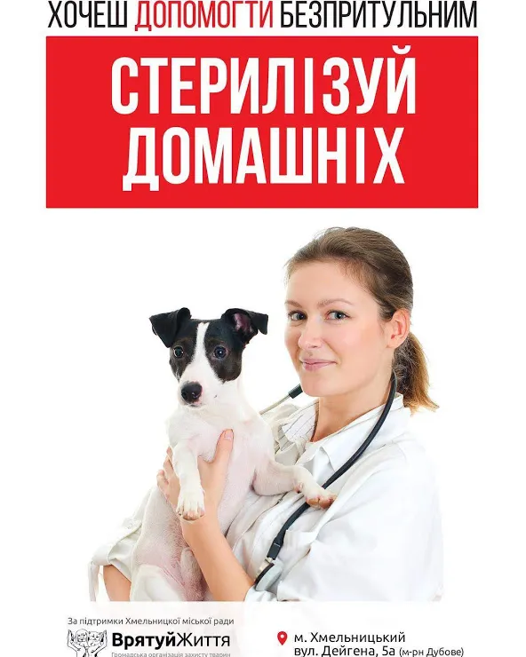 У Хмельницькому з'явилася нова соціальна реклама на захист тварин — фото 4