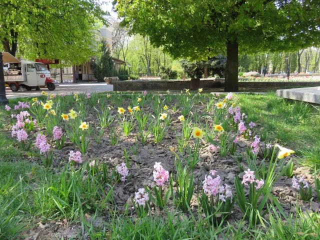 На вулицях Хмельницького з'явиться 300 нових підвісних клумб — фото 11
