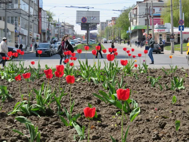 На вулицях Хмельницького з'явиться 300 нових підвісних клумб — фото 12