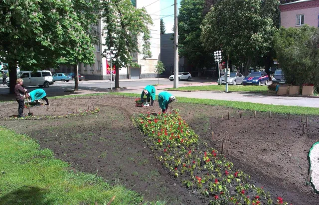 На вулицях Хмельницького з'явиться 300 нових підвісних клумб — фото 15
