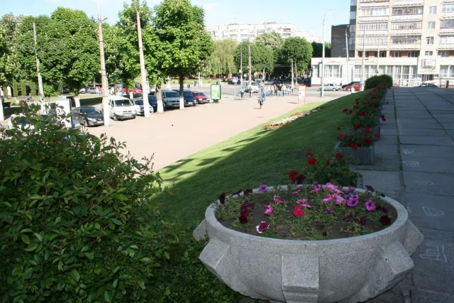На вулицях Хмельницького з'явиться 300 нових підвісних клумб — фото 18
