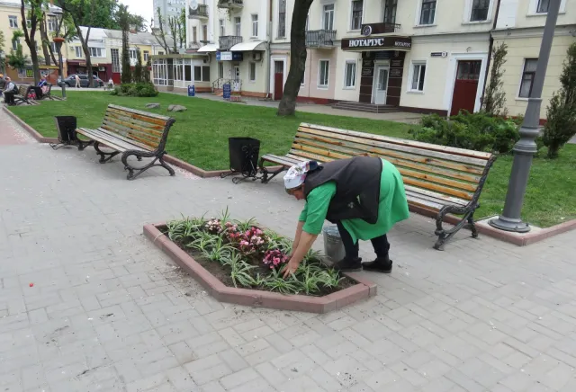 На вулицях Хмельницького з'явиться 300 нових підвісних клумб — фото 2