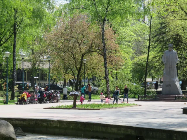 На вулицях Хмельницького з'явиться 300 нових підвісних клумб — фото 3
