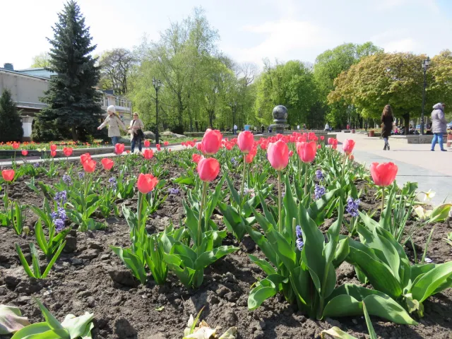 На вулицях Хмельницького з'явиться 300 нових підвісних клумб — фото 8